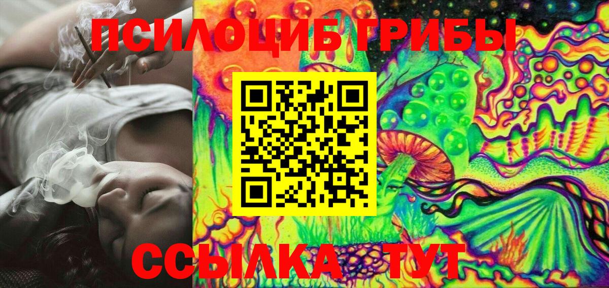 Галлюциногенные грибы Psilocybe  Галлюциногенные грибы MAGIC MUSHROOMS  Вход с VPN  Тимашёвск 
