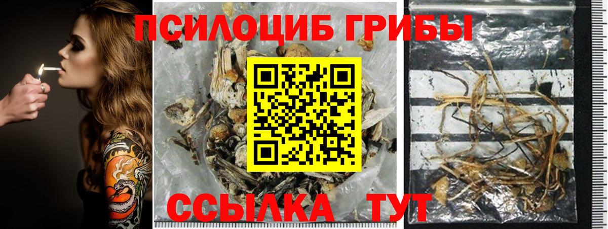 Псилоцибиновые грибы мухоморы Тимашёвск